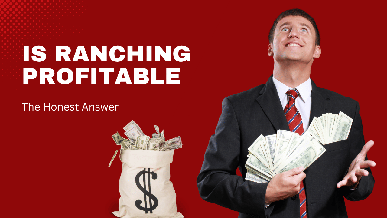 Is Ranching Profitable
