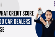 What Credit Score Do Car Dealers Use